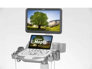 Siemens ACUSON Maple ultrason cihazının ergonomik kontrol paneli, dokunmatik ekranı ve prob tutucuları.