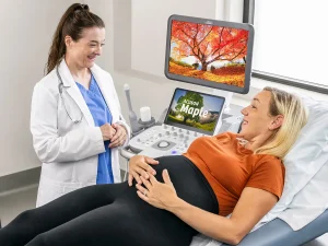 Uzman jinekolog tarafından kullanılan Siemens kadın doğum ultrason cihazı ve 4 boyutlu (4D fetal görüntüleme) ekranı.